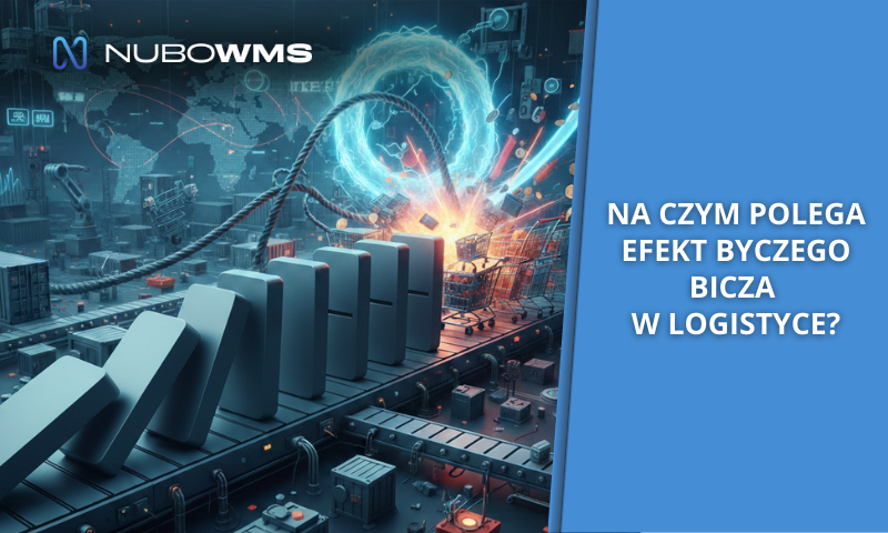 Na czym polega efekt byczego bicza w logistyce?